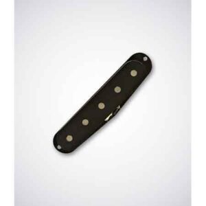 BEE WING Original 5-string Bass